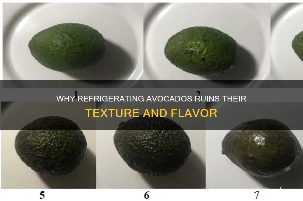why can t you refrigerate avocados