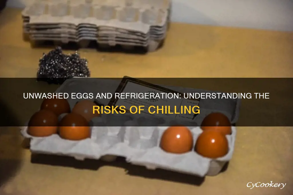 why can unwashed eggs not be refrigerated
