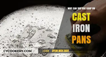 Cast Iron Care: Soap and Seasoning