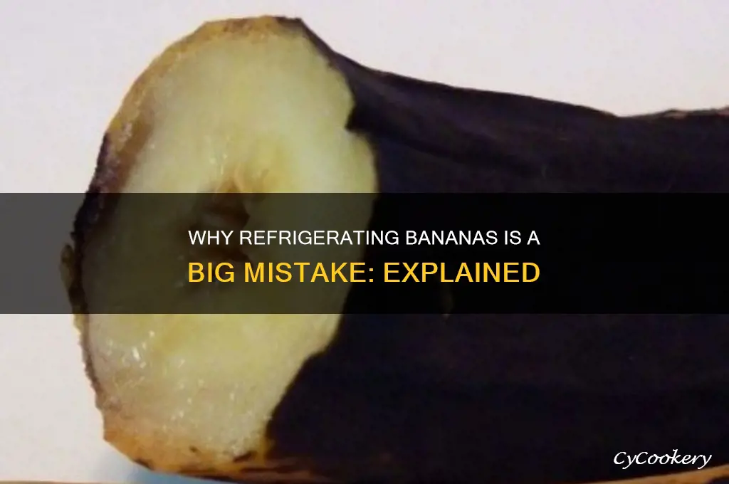 why can