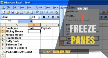Freeze Panes: A Simple Solution to a Common Problem