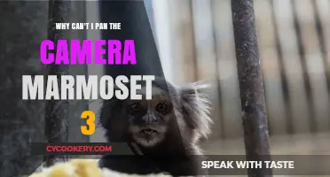 Unlocking Marmoset 3 Camera Panning