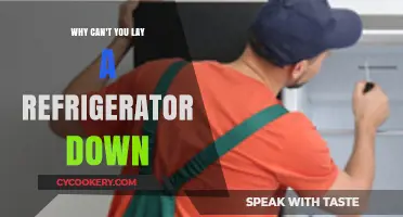 Why Laying a Refrigerator Down Can Cause Serious Damage