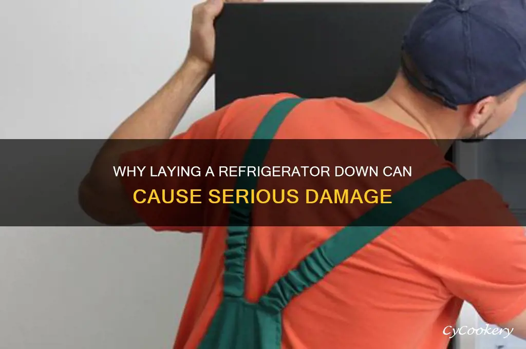 why can