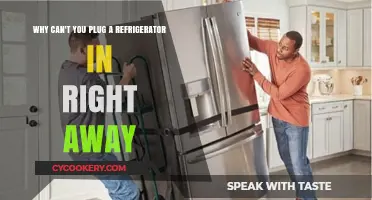 Avoid Immediate Plugging: Why Refrigerators Need Time After Moving