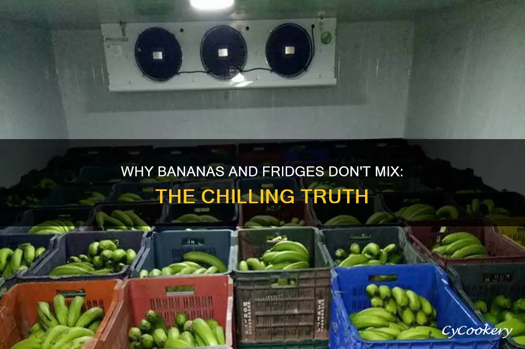 why can