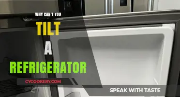 Why Tilting Your Refrigerator Is a Big No-No: Explained