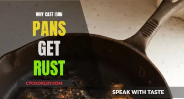 Cast Iron Pans: Rust, Reasons and Remedies