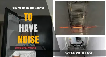 Why Is My Refrigerator Making Noise? Common Causes Explained