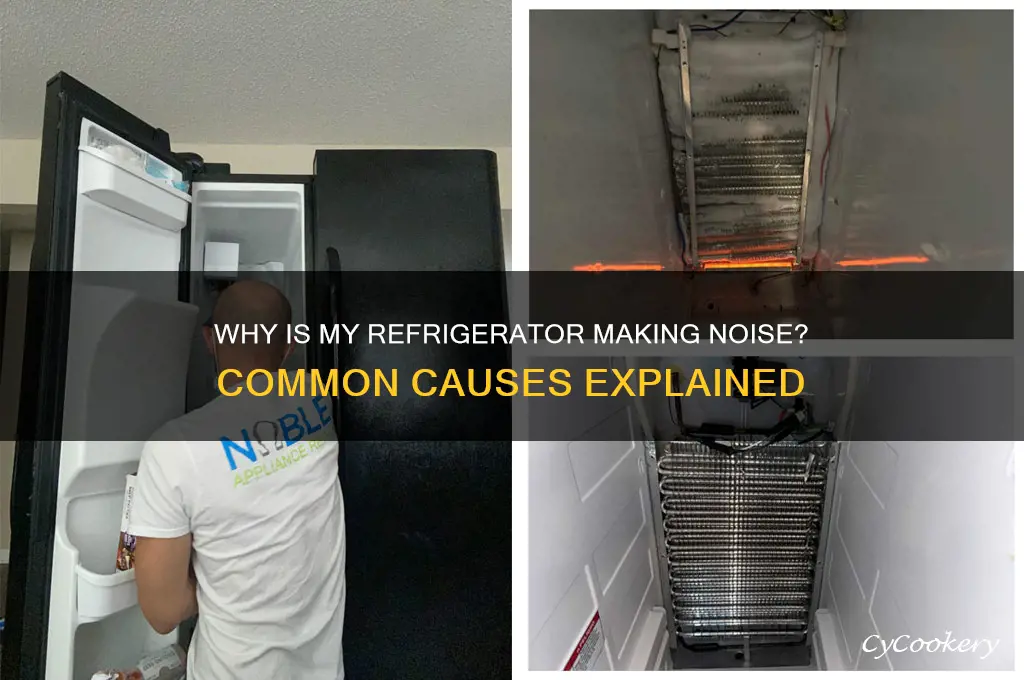 why causes my refrigerator to have noise