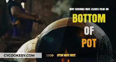 Why Cooking Rice Leaves a Film on the Bottom of the Pot