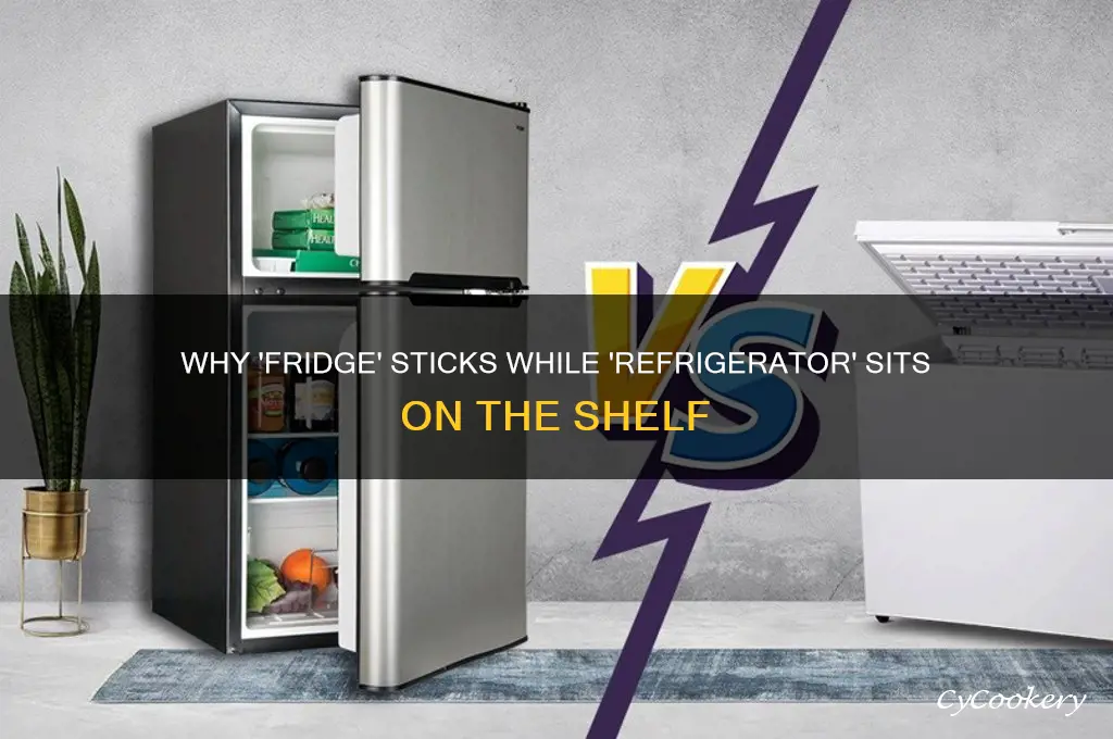 why d in fridge and not refrigerator