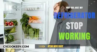 Why Did My Refrigerator Suddenly Stop Working? Troubleshooting Tips