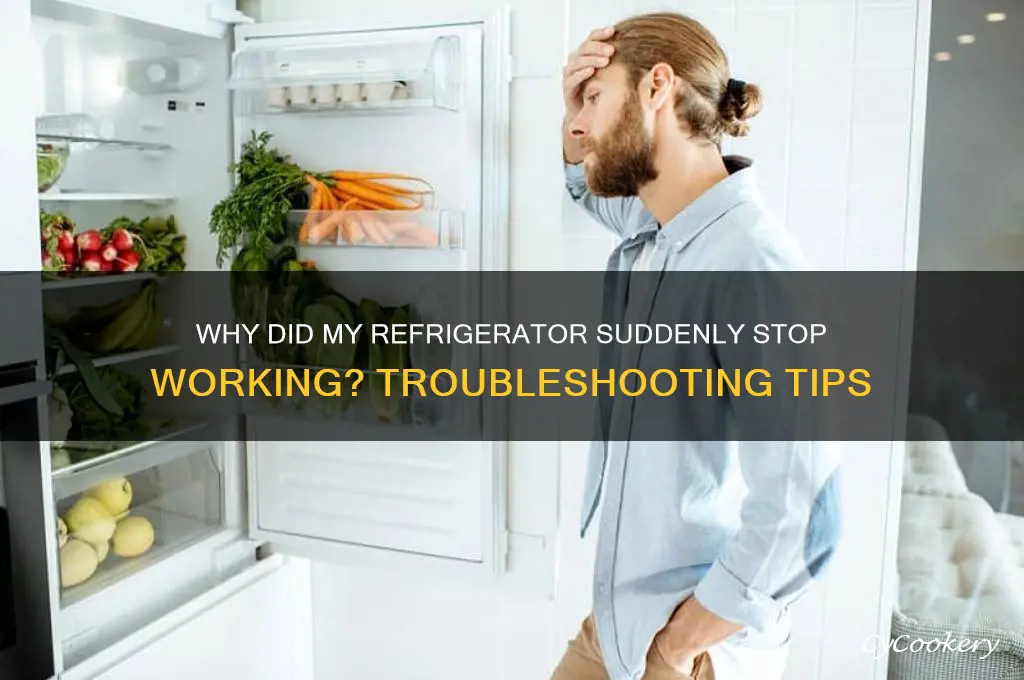 why did just my refrigerator stop working