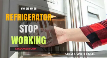 Why Did My GE Refrigerator Suddenly Stop Working? Troubleshooting Tips