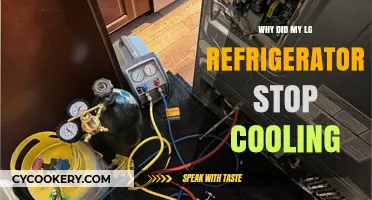 Why Your LG Refrigerator Stopped Cooling: Troubleshooting and Fixes