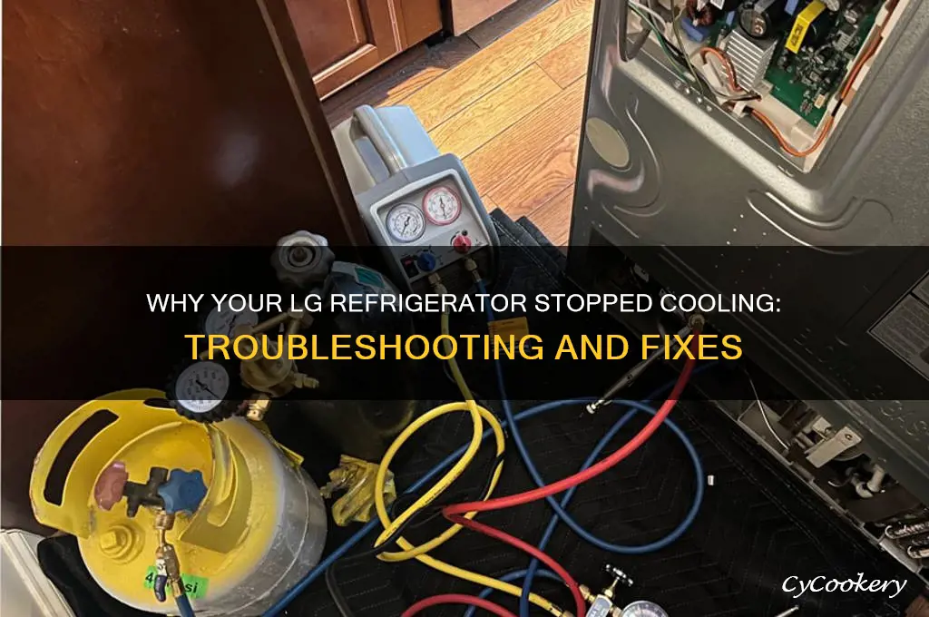 why did my lg refrigerator stop cooling
