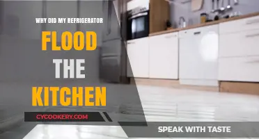 Why Did My Refrigerator Flood the Kitchen? Common Causes Explained