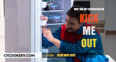 Why Did My Refrigerator Suddenly Lock Me Out? Explained