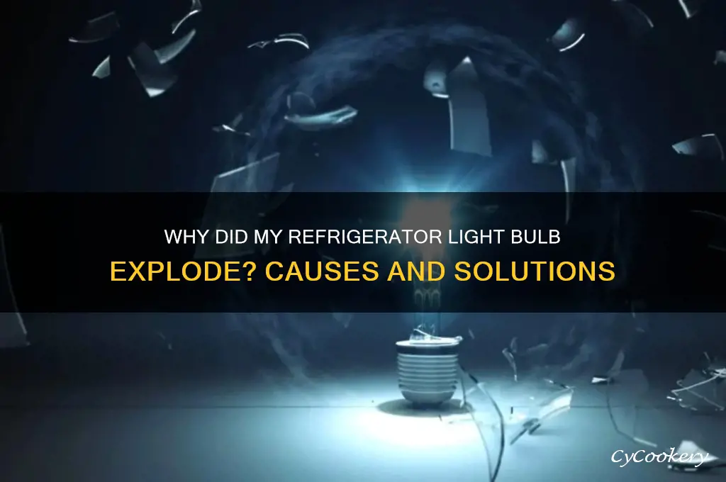 why did my refrigerator light bulb explode