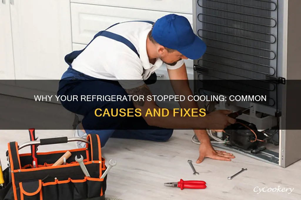 why did my refrigerator stop getting cold