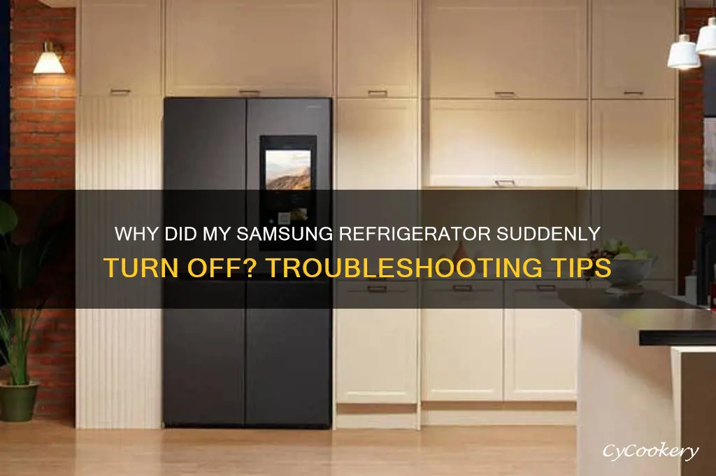 why did my samsing refrigerator turn off