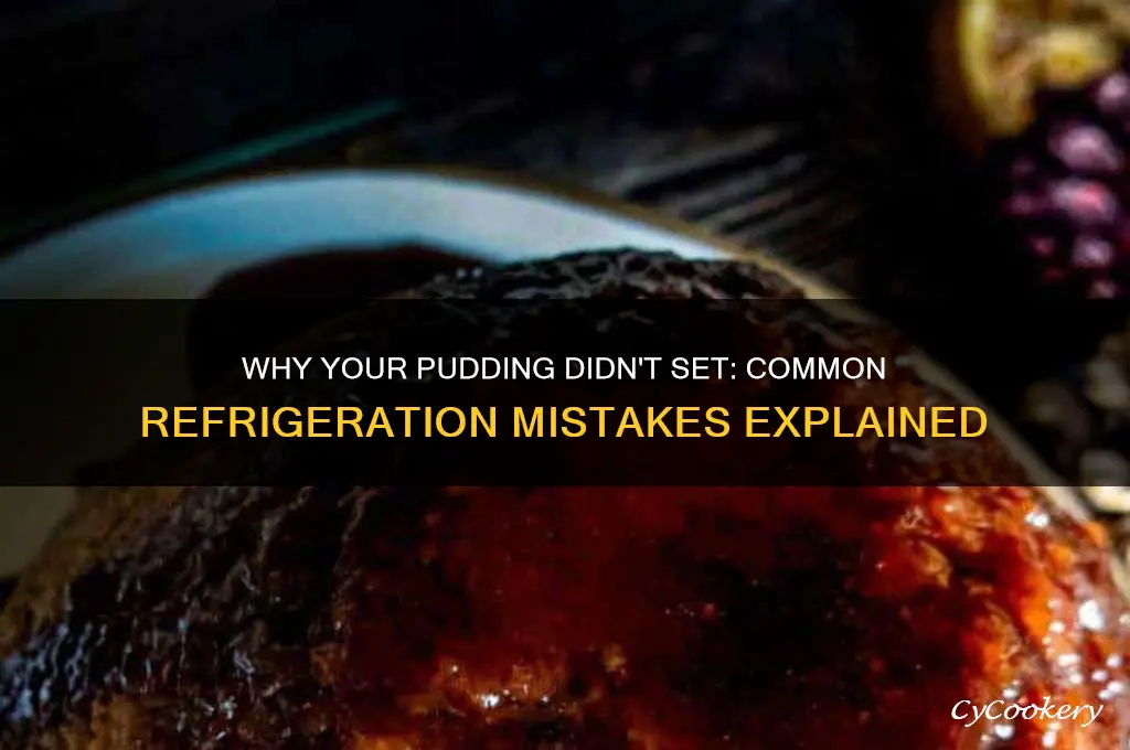 why did pudding not set in refrigerator