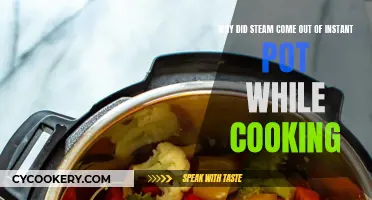 Steaming Instant Pot: What's the Reason for the Mist?