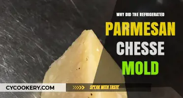 Why Refrigerated Parmesan Cheese Molds: Causes and Prevention Tips