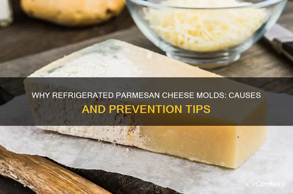 why did the refrigerated parmesan chesse mold