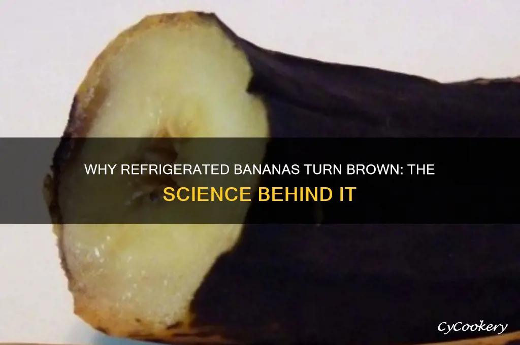 why do bananas turn brown in the refrigerator
