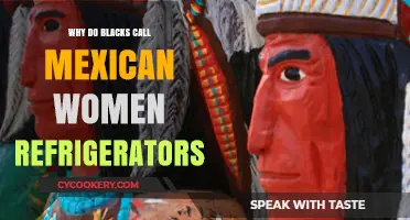 Why Do Blacks Call Mexican Women Refrigerators? Unraveling the Offensive Slur