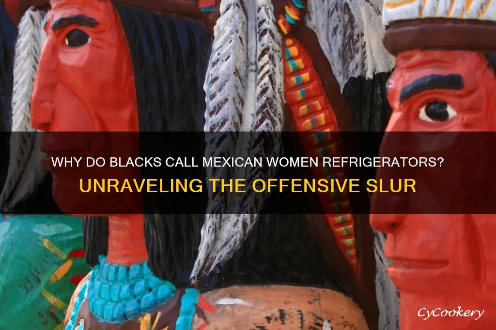 why do blacks call mexican women refrigerators