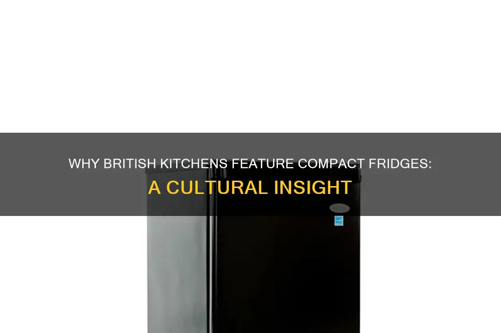 why do british people have small refrigerators