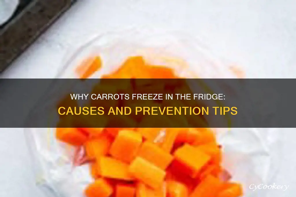 why do carrots freeze in the refrigerator