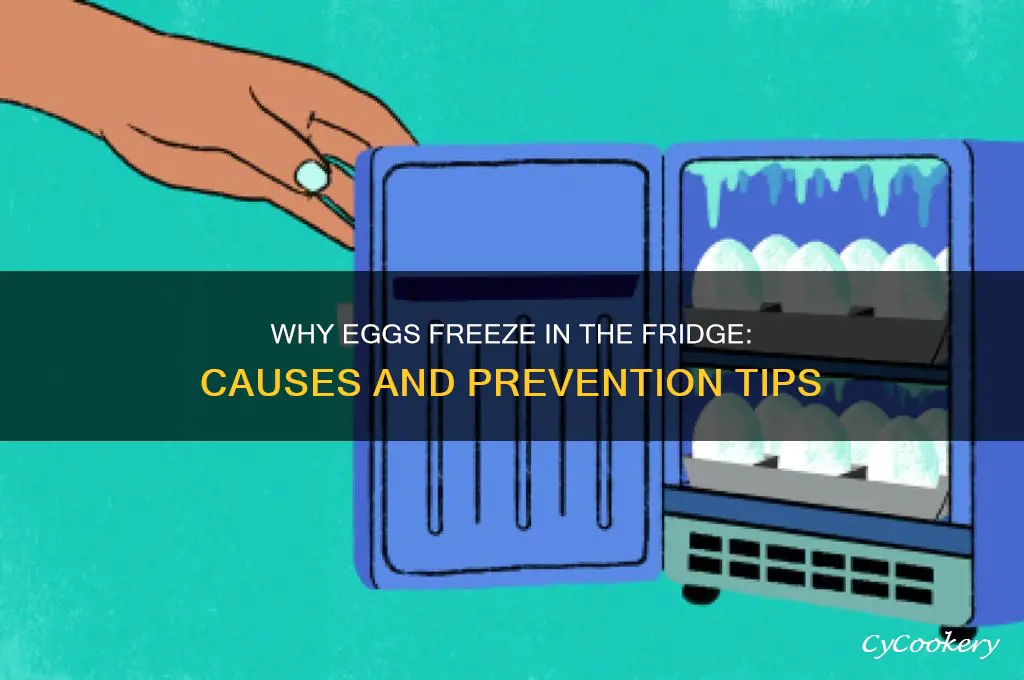why do eggs freeze in the refrigerator