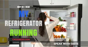 Why Your Refrigerator's Running Noise Might Be Normal or a Concern