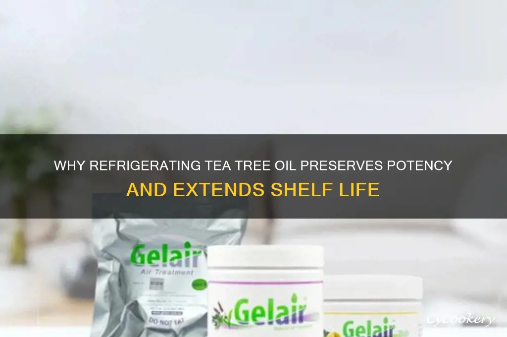 why do i refrigerate tea tree oil