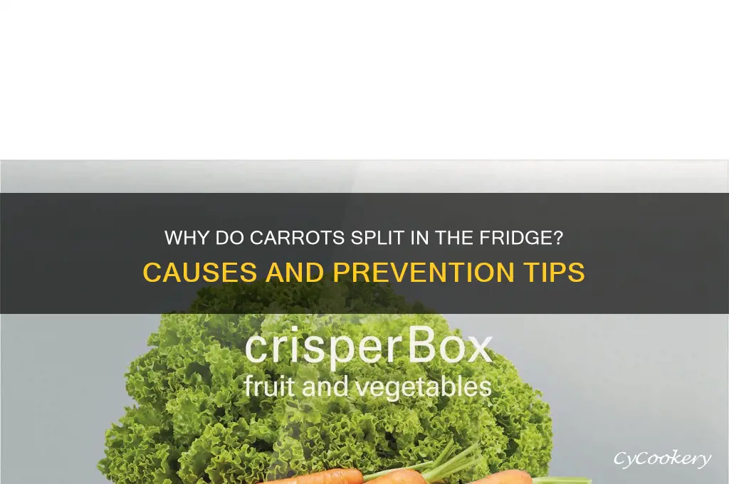 why do in my refrigerator carrots split