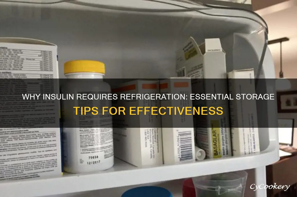 why do insulin have to be refrigerated