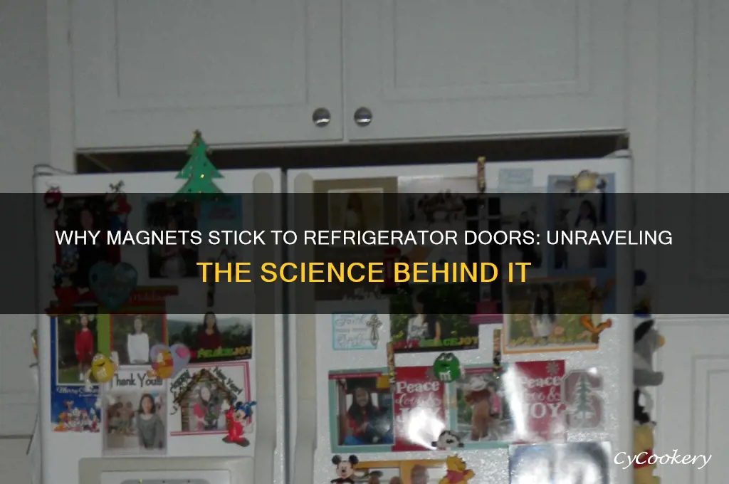 why do magnets stick to refrigerator doors