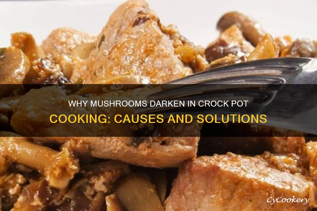 why do mushrooms turn black from crock pot cooking