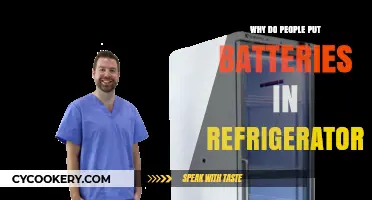 Chilling Batteries: Unraveling the Myth of Refrigerator Storage