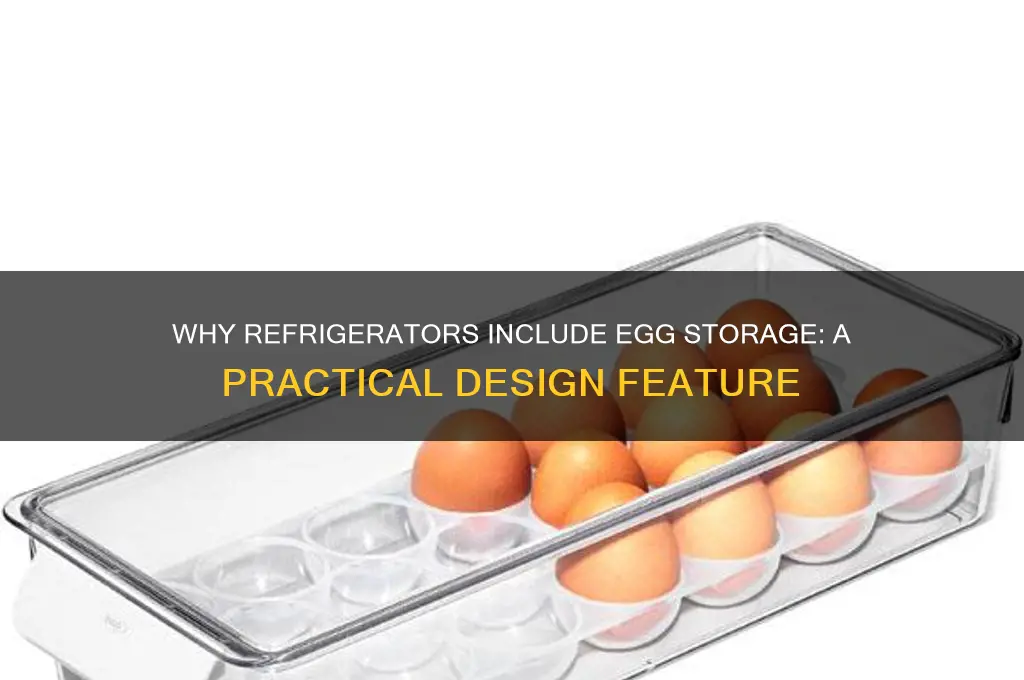 why do refrigerators come with egg storage