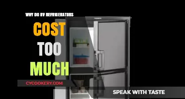 Why RV Fridges Drain Wallets: Uncovering High Refrigerator Costs