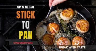 Scallops Sticking to the Pan: Why It Happens