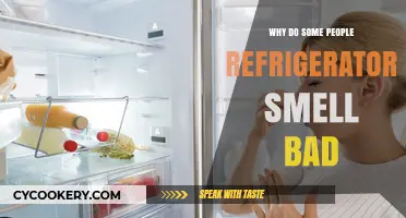 Why Do Some Refrigerators Smell Bad? Causes and Solutions