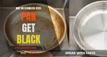 Stainless Steel Pans: Why Do They Turn Black?