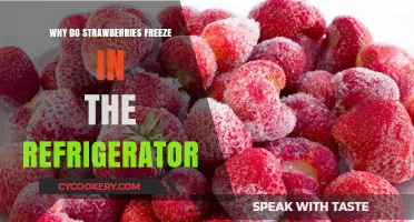 Why Strawberries Freeze in the Fridge: Causes and Prevention Tips