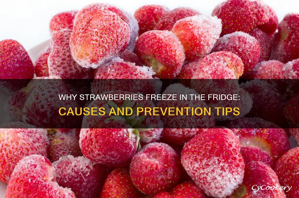 why do strawberries freeze in the refrigerator
